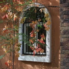Autumn Story