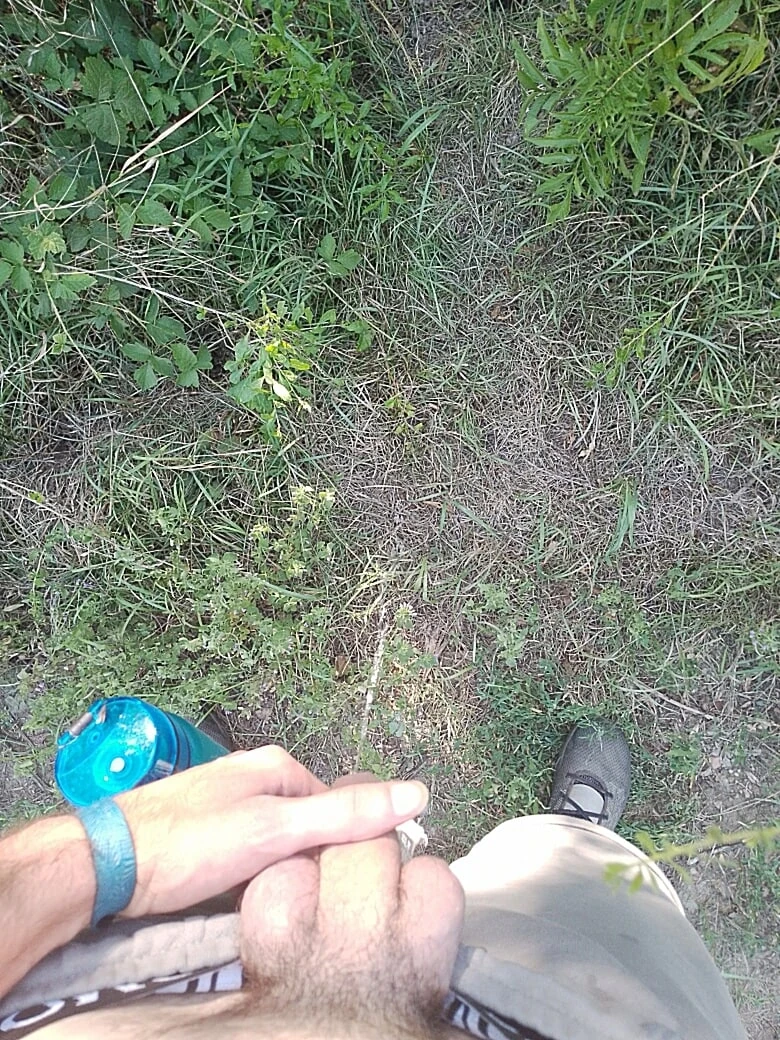 Nature #3