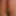 Cuckold In Chasity And Butt Plug #2