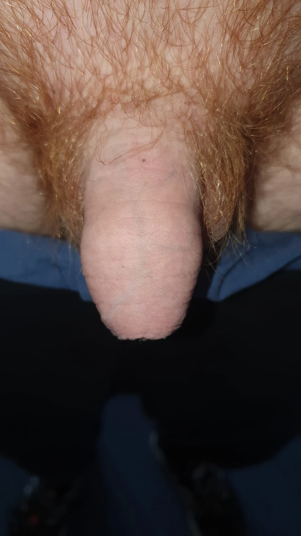 Fire bush #4