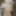 Here are some pictures of my dick