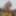 Nudes in the Work 74 #15