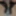 Mandatory weighing cagecheck plugcheck January 03, 2024 #4