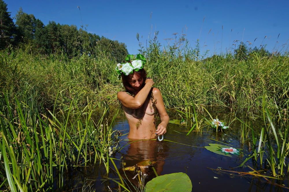 In pond with waterflowers #33