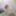 Ateşli desi ravinadesi xxx videosu