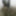 #Indian Pornstar Ravi big cock huge cumshoot