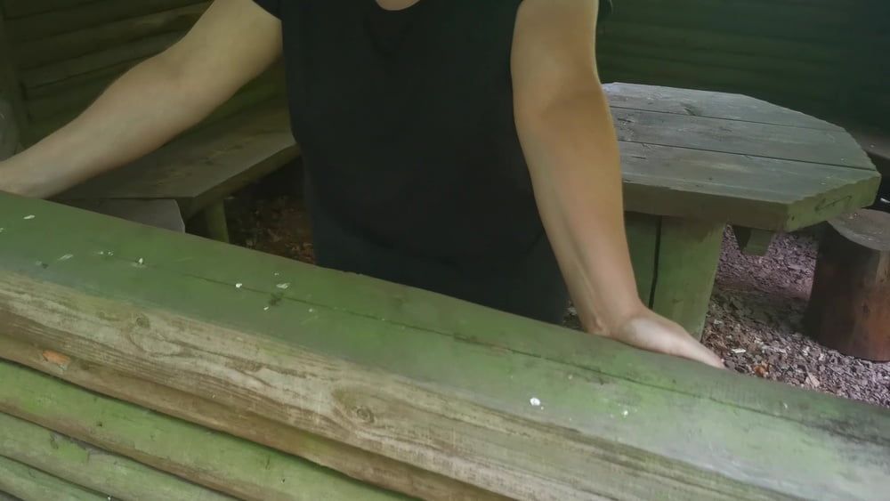 Slapping tits and ass in picnic hut #12