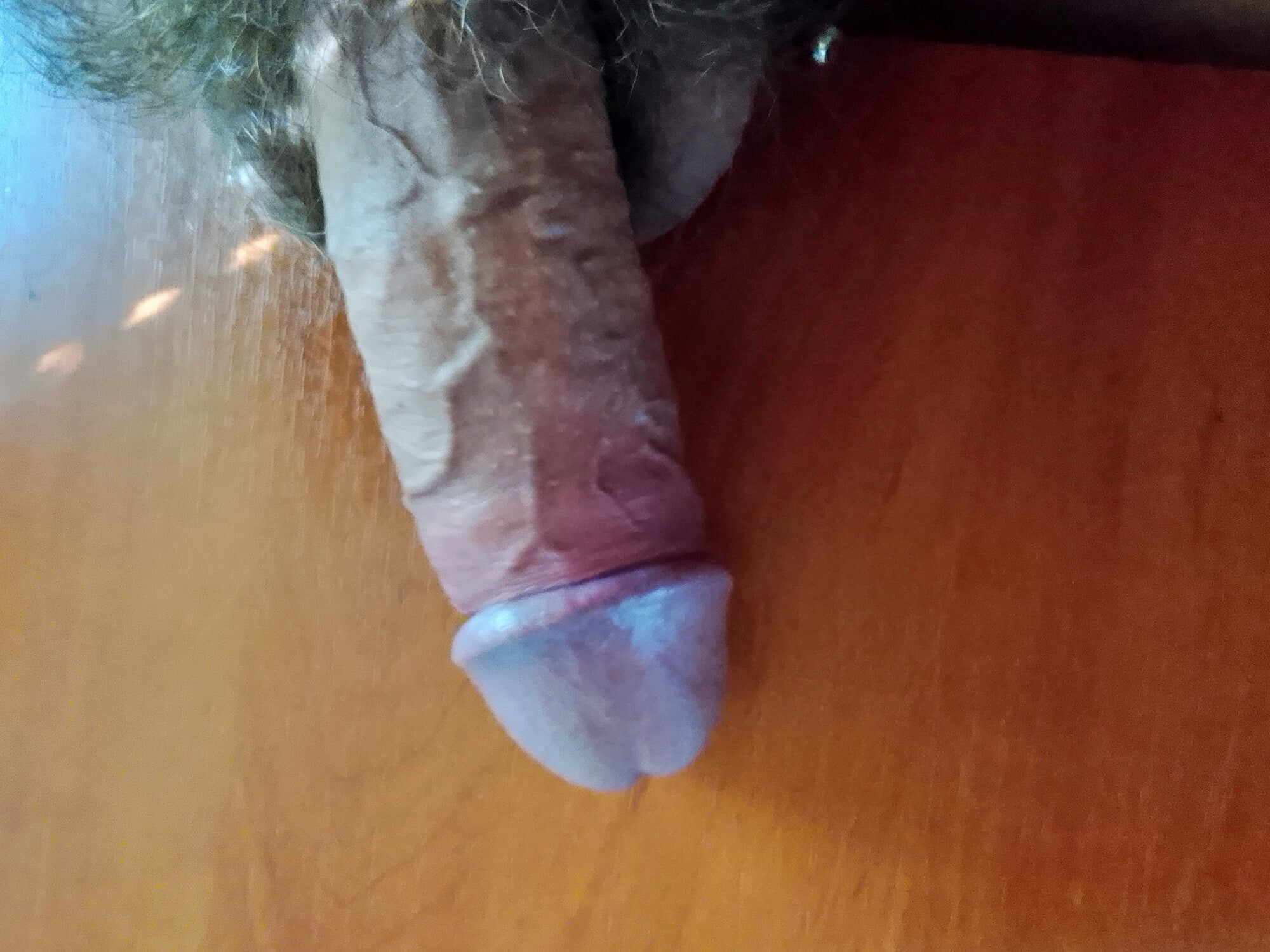 my cock for you