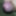May dick #40