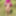 Indian bhabhi fucked outdoor 