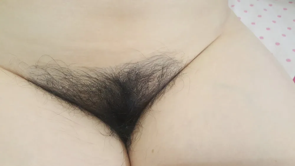 hairy pussy