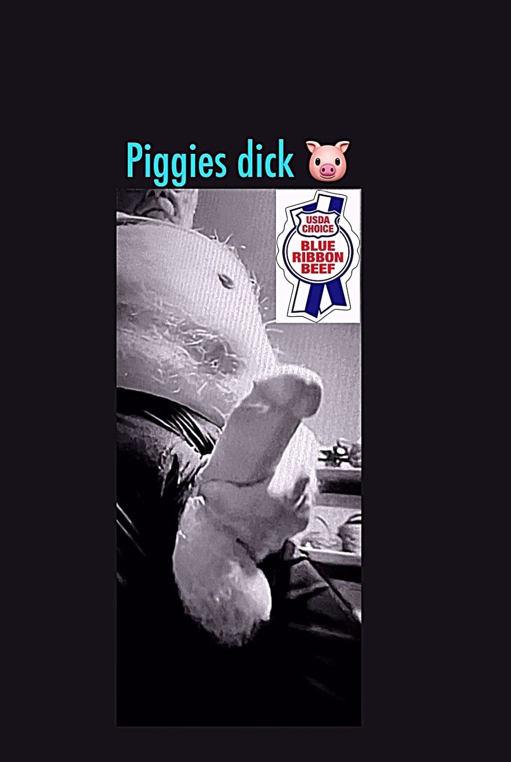 Piggy