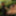 Outrageous Super-Sized BBW Outdoor Cock Spanking #8