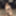 Pixwhores Experimental Enhanced: Gallery 100 Compilation 