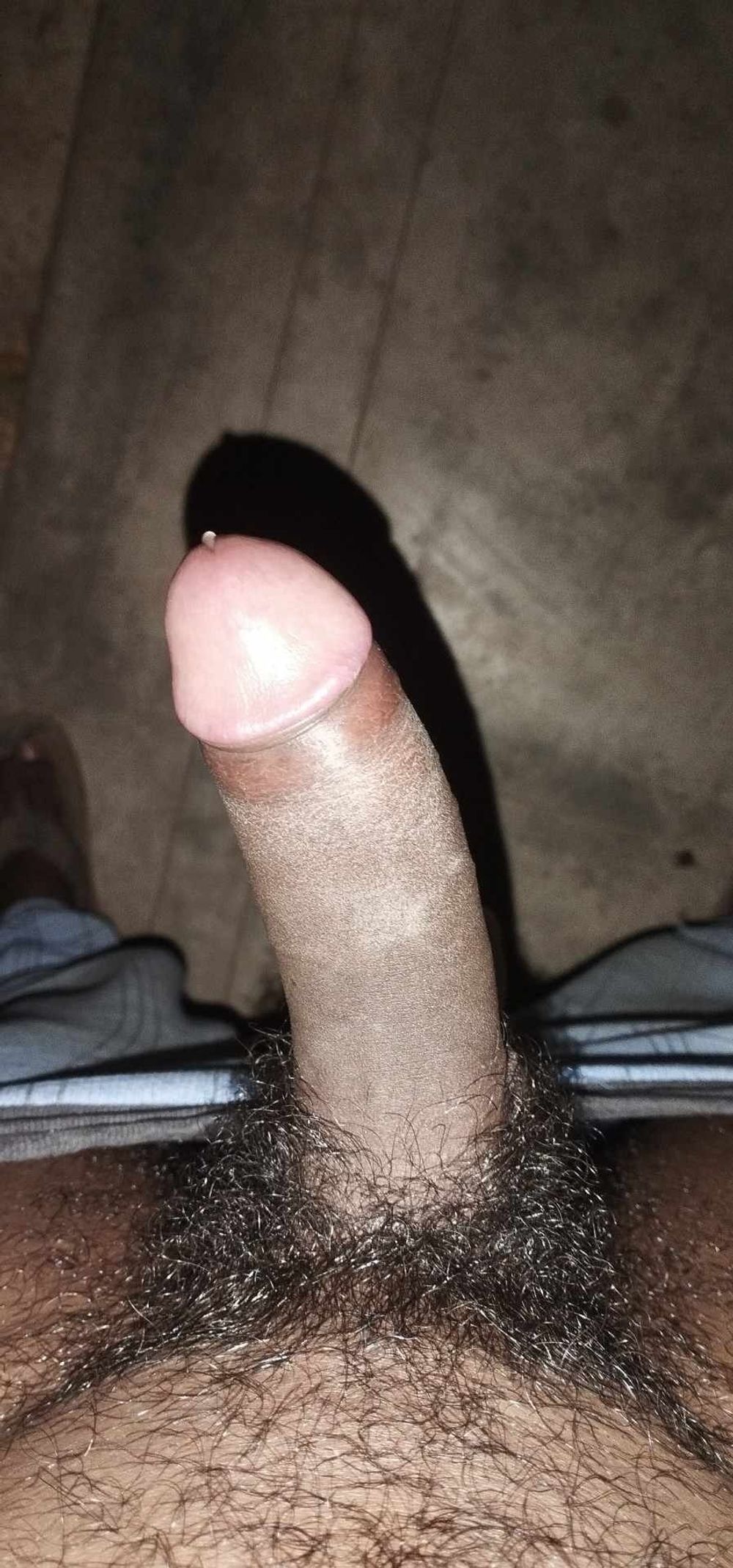 Horney Dick #4