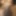 Bangladeshi xnxx 
