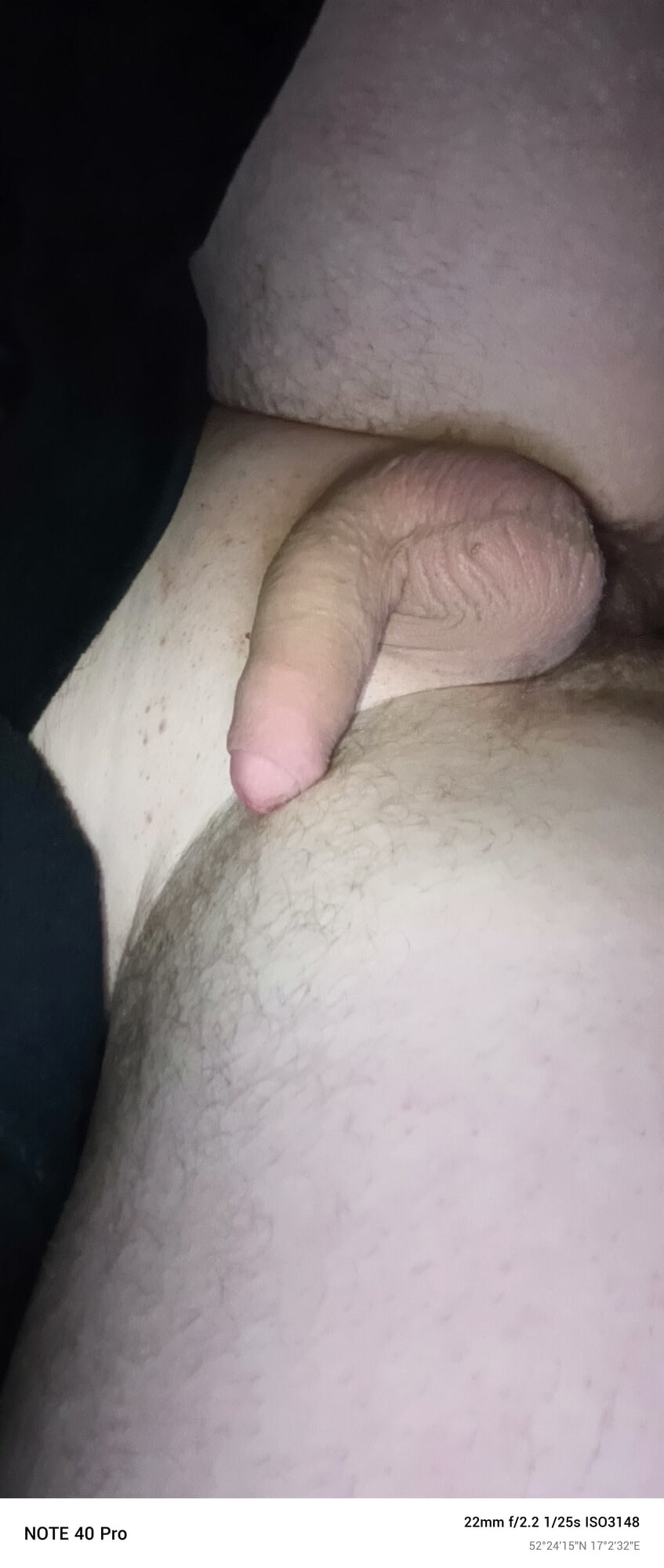 Penis #4