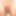 Bilder von meinem Penis
