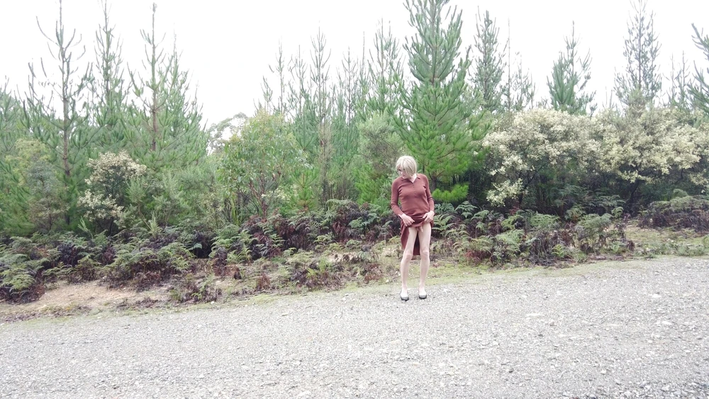 Crossdress - Roadtrip - New Pine Plantation #6