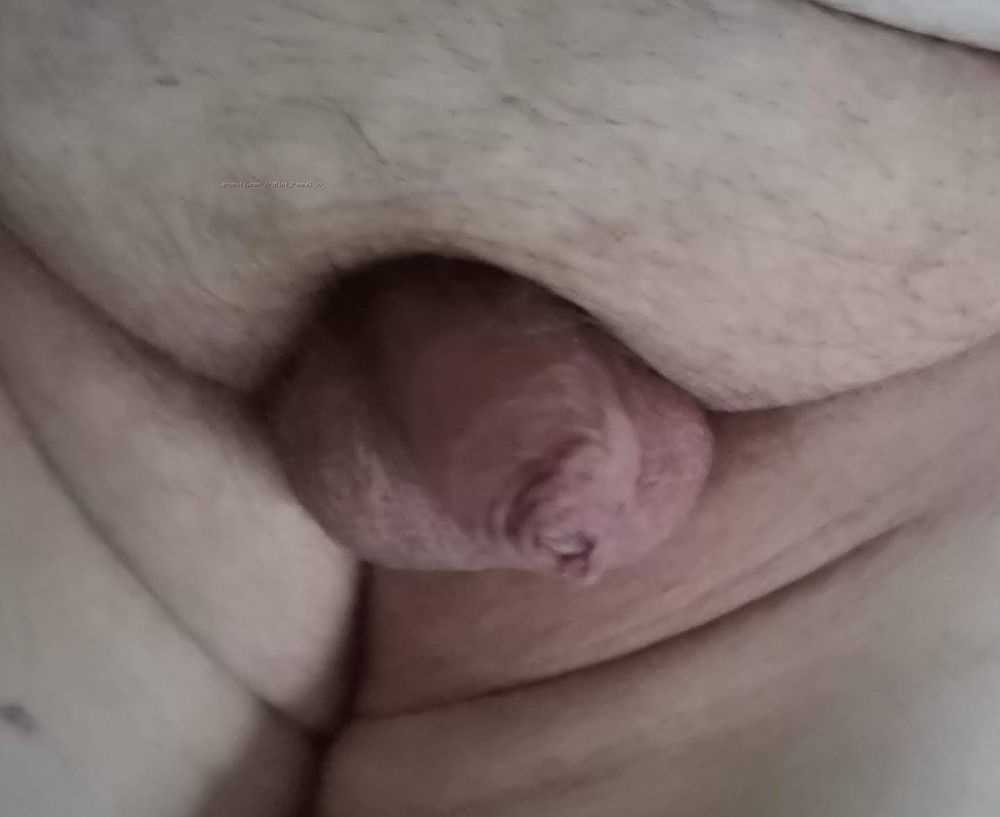 My little cock #2