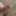 Penis halkalı büyük başlı yarak
