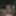 63+ GILF gets off for voyeurs GIFs #19