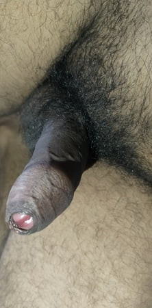 Hairy Horny Dick ready to fuck 