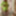 Amateur crossdresser Kellycd2022 holiday in white stockings #7