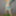 Lucy heartfilia cumtribute