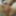 blowjob and cumshot