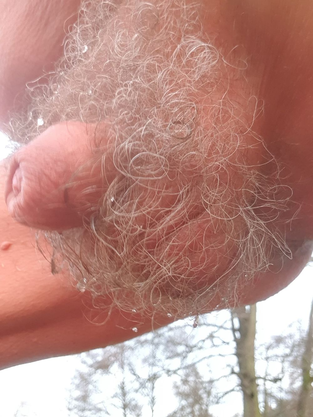 For hairy balls and pubes lovers #2