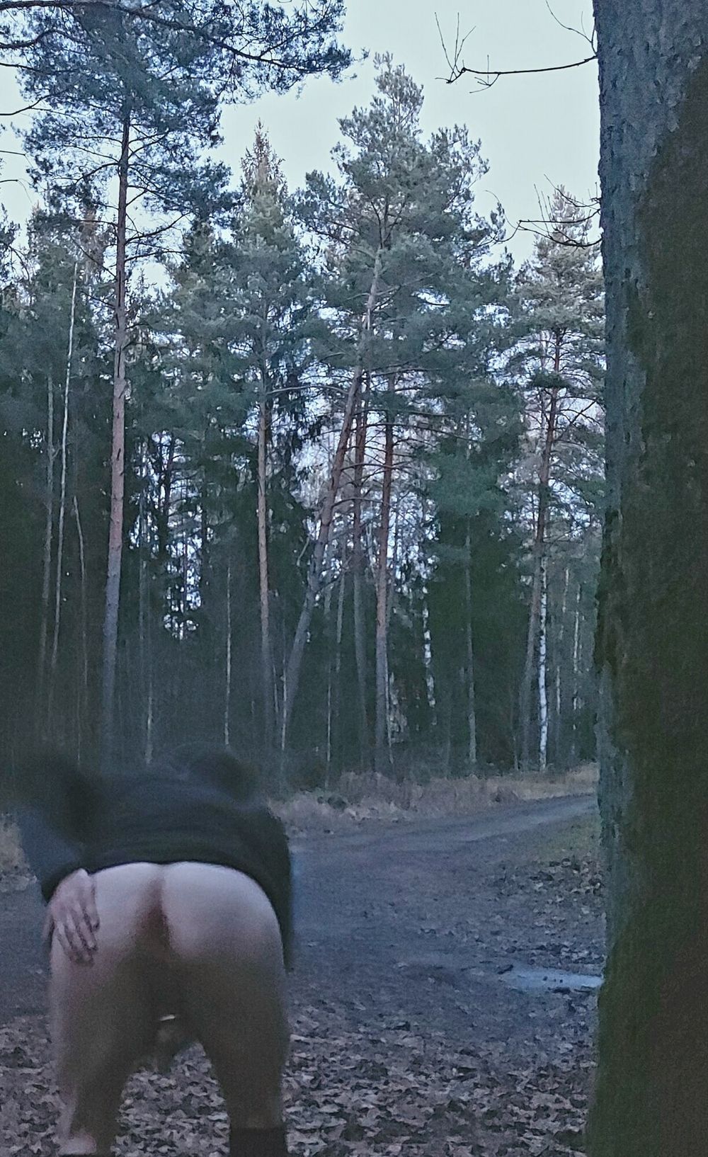 Jogging in the forest #2