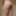 Ass ass and ass #33