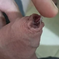 Amateur Teaser