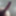 New album.