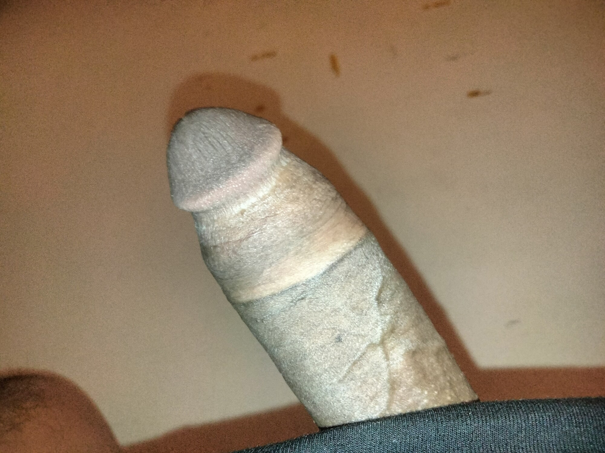 Big penis, big cock.