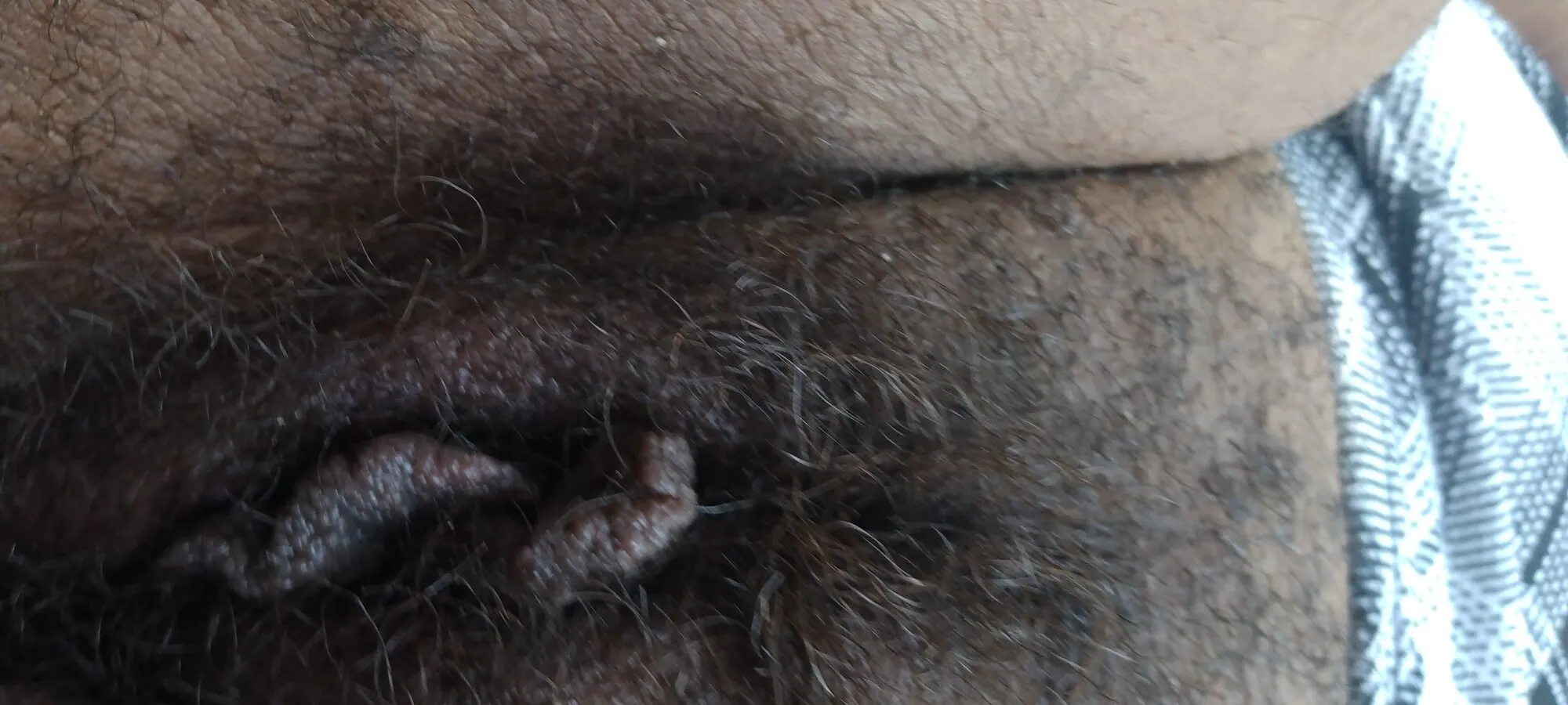 Beautiful brown pussy