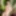 Erotik porno fotoğraflar 304