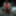 Dildo Sounding Outdoors 40 #34