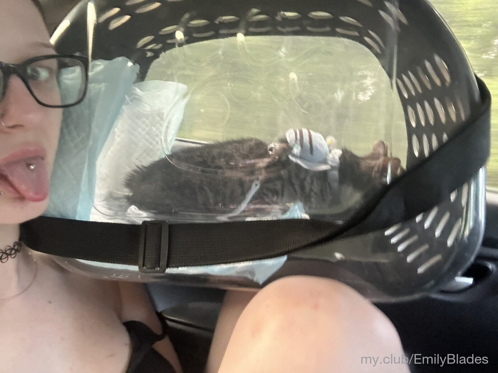 Emily Free Photos #6