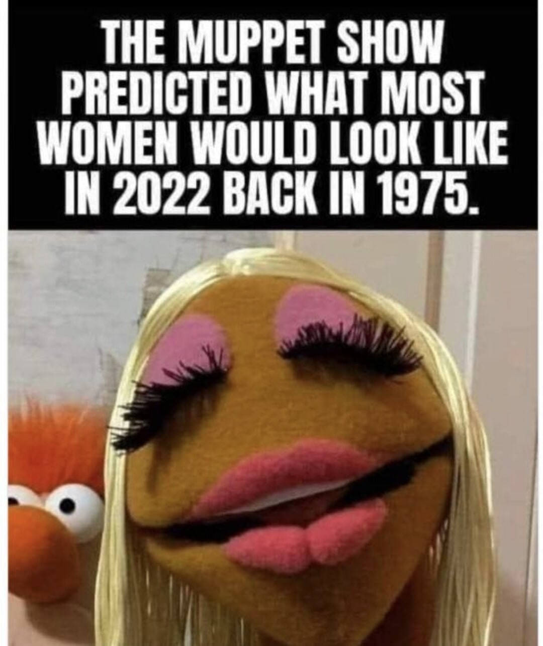 The Future
