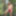 Cute brunette Maxa posing nude in the forest #7
