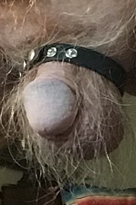 Cock exposed