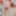 Alice Nomad Free Photos #4
