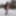 Pregnant flashing naked in the cold snow #3