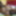 Annadevot - nylons and a dildo #10