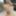 Asian babe sucks until I cum for her #30