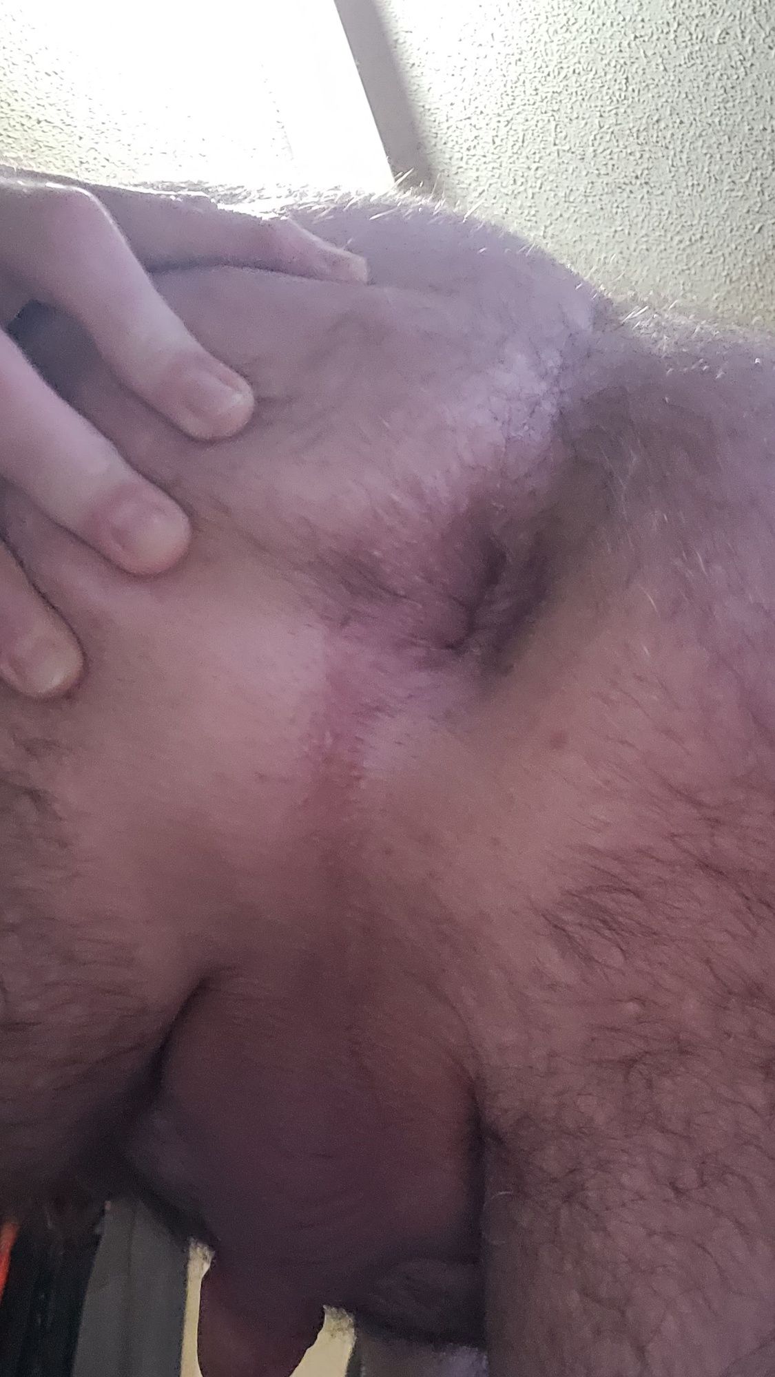 My hairy butthole #6