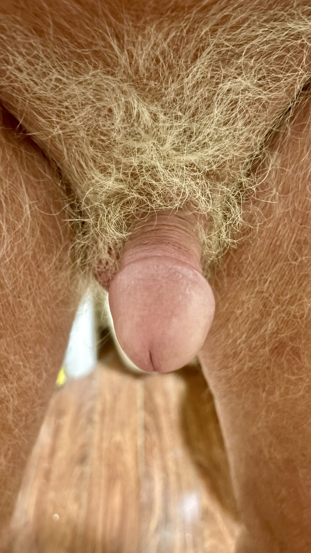 NOVEMBER PICTURES  #28