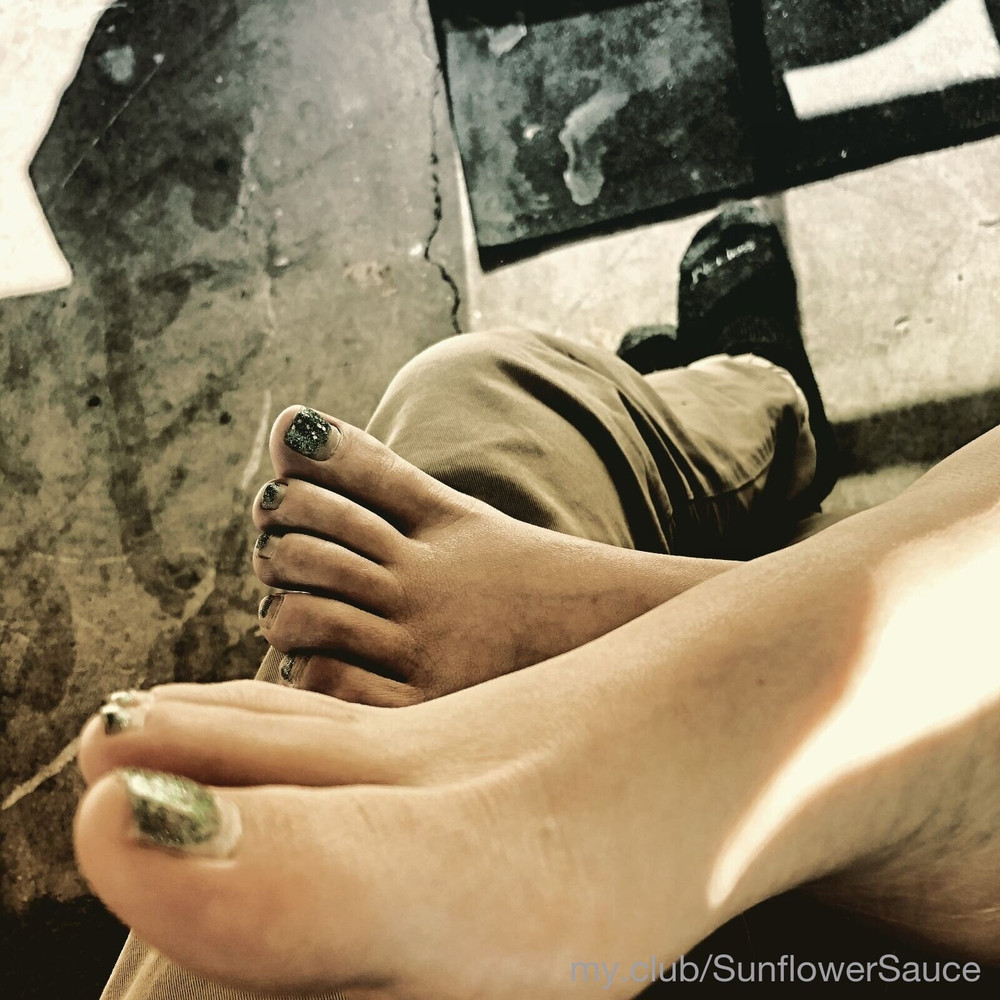 🌻 Sunflower.Sauce  Free Photos #25